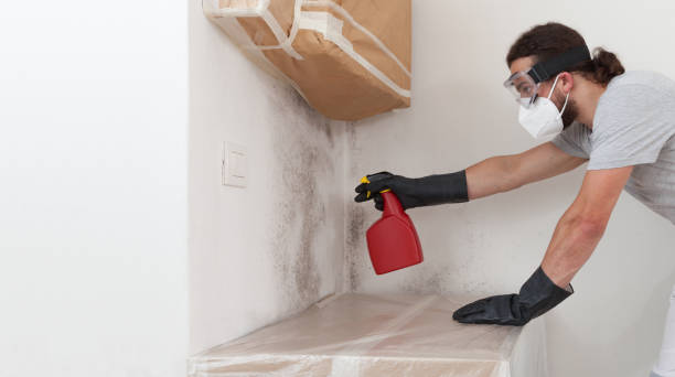 Professional Crawl Space Mold Remediation technician working in Stafford, TX